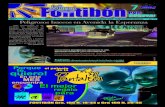 Nuevo Fontibon Edicion No. 71