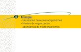 ecologia 2 clase.ppt