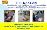 FEINA&LAN Coordinadora de Tallers per a Minusvàlids Psíquics de Catalunya EHLABE - Asociación de Trabajo Protegido del País Vasco MERCADIS 19-06-2003 GESTIÓN.