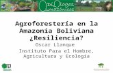 Agroforestería en la Amazonia Boliviana ¿Resiliencia? Oscar Llanque Instituto Para el Hombre, Agricultura y Ecología.