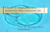 Clase IV Implantación, primeras dos semanas de gestación Prof. Dr. Rodrigo Barra Eaglehurst.