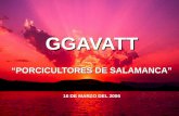 GGAVATT PORCICULTORES DE SALAMANCA 16 DE MARZO DEL 2006.
