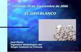 Córdoba 30 de Septiembre de 2006 EL ORO BLANCO José Flores Ingeniero Metalúrgico del Grupo Cookson en Francia.
