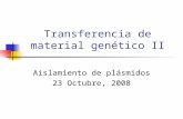 Transferencia de material genético II Aislamiento de plásmidos 23 Octubre, 2008.