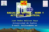 1 Radiación Natural y Medio Ambiente Suances, 4-8 julio 2005 RADIACIÓN NATURAL: NORM Y ACTIVIDAD INDUSTRIAL Juan Pedro Bolívar Raya Universidad de Huelva.