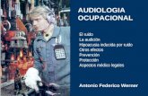Antonio Federico Werner AUDIOLOGIA OCUPACIONAL El ruido La audición Hipoacusia inducida por ruido Otros efectos Prevención Protección Aspectos médico legales.