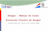 Dengue : Manejo de Casos Evolución Clínica de Dengue Desarrollado por Clinicos del Estudio DENCO.