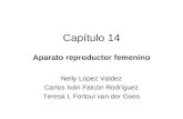 Capítulo 14 Aparato reproductor femenino Nelly López Valdez Carlos Iván Falcón Rodríguez Teresa I. Fortoul van der Goes.