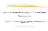 UNIVERSIDAD COMPLUTENSE DE MADRID MÁSTER EN CIENCIAS ACTUARIALES Y FINANCIERAS Microeconomía Tema 3 : Producción y costes. Competencia perfecta Prof. Juan.
