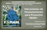 Daniella Diez Canseco Area de Bosques y Servicios Ambientales Fondo Nacional del Ambiente - FONAM Mecanismos de Financiamiento para Proyectos REDD+ Setiembre.
