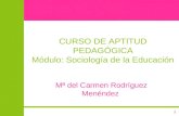 1 CURSO DE APTITUD PEDAGÓGICA Módulo: Sociología de la Educación Mª del Carmen Rodríguez Menéndez.