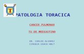 PATOLOGIA TORACICA CANCER PULMONAR TU DE MEDIASTINO DR. CARLOS ALVAREZ CIRUGIA USACH HBLT.