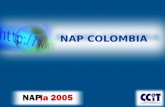 NAP COLOMBIA. Contenido Contexto Colombiano Miembros actuales Tráfico 2003-2005 Desafíos latentes 2004 Progreso 2005 Desafíos latentes 2005.