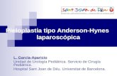 Pieloplastia tipo Anderson-Hynes laparoscópica L. García-Aparicio Unidad de Urología Pediátrica. Servicio de Cirugía Pediátrica. Hospital Sant Joan de.
