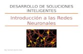 Introducción a las Redes Neuronales Mg. Samuel Oporto Díaz DESARROLLO DE SOLUCIONES INTELIGENTES.