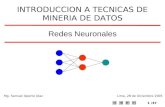 1/37 Redes Neuronales INTRODUCCION A TECNICAS DE MINERIA DE DATOS Mg. Samuel Oporto DíazLima, 28 de Diciembre 2005.