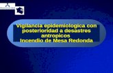 Vigilancia epidemiologica con posterioridad a desastres antropicos Incendio de Mesa Redonda.