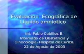 Evaluacion Ecográfica de Liquido amniotico Evaluacion Ecográfica de Liquido amniotico Int. Pablo Cubillos B. Internado de Obstetricia y Ginecologia- Hospital.