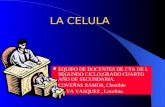 LA CELULA EQUIPO DE DOCENTES DE CTA DE L SEGUNDO CICLO;GRADO CUARTO AÑO DE SECUNDARIA. COVEÑAS RAMOS, Cleotilde SILVA VASQUEZ, Lucelina.