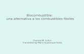 Biocombustible: una alternativa a los combustibles fósiles Theresa M. Fulton Translated by Maria Guadalupe Salas.