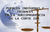 PUEBLOS INDÍGENAS Y TRIBALES EN LA JURISPRUDENCIA DE LA CORTE IDH Jorge Calderón Gamboa Abogado Senior, Corte IDH AVISO: Esta presentación fue preparada.