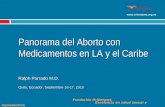 Panorama del Aborto con Medicamentos en LA y el Caribe Ralph Parrado M.D. Quito, Ecuador, Septiembre 16-17, 2010 Fundación Oriéntame Excelencia en salud.