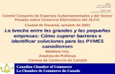 Canadian Chamber of Commerce La Chambre de Commerce du Canada Comité Conjunto de Expertos Gubernamentales y del Sector Privado sobre Comercio Electrónico.