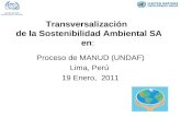 Transversalización de la Sostenibilidad Ambiental SA en: Proceso de MANUD (UNDAF) Lima, Perú 19 Enero, 2011.