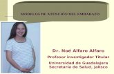 Dr. Noé Alfaro Alfaro Profesor investigador Titular Universidad de Guadalajara Secretaría de Salud, Jalisco MODELOS DE ATENCIÓN DEL EMBARAZO.