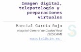 Imagen digital, telepatología y preparaciones virtuales Marcial García Rojo Hospital General de Ciudad Real (SESCAM) marcial@cim.es.