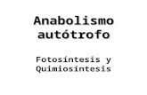 Anabolismo autótrofo Fotosíntesis y Quimiosíntesis.