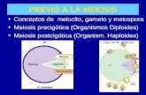 PREVIO A LA MEIOSIS Conceptos de meiocito, gameto y meiospora Meiosis precigótica (Organismos Diploides) Meiosis postcigótica (Organism. Haploides) Alga.