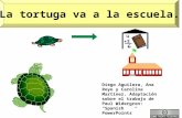 La tortuga va a la escuela. Diego Aguilera, Ana Royo y Carolina Martínez. Adaptación sobre el trabajo de Paul Widergren:Spanish PowerPoints.