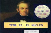TEMA 19: EL NÚCLEO Robert Brown 1831. NÚCLEOS AL ÓPTICO.