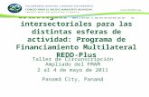 Estrategias individuales e intersectoriales para las distintas esferas de actividad: Programa de Financiamiento Multilateral REDD-Plus Taller de Circunscripción.