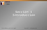 1 Curso Básico de C.I.O. Light Sección 1 Introducción Sección 1 - Introducción.