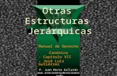 Otras Estructuras Jerárquicas Manual de Derecho Canónico - Capítulo VII - José Luis Gutiérrez P. Juan María Gallardo .
