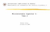 UNIVERSIDAD COMPLUTENSE DE MADRID D epartamento de Fundamentos del Análisis Económico I Microeconomía Superior I: Tema 2 Rafael Salas octubre de 2005.