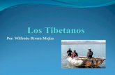 Por: Wilfredo Rivera Mejías. Introducción En este trabajo les estaré hablando sobre los tibetanos grupo étnico que se encuentra en China. En este trabajo.