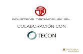 COLABORACIÓN CON. TECHNOFLEX INDUSTRIAS TECHNOFLEX (empresa participada al 100% por FICOSA International, S.A.) debido a la situación del mercado de la.