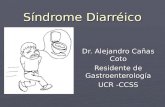 Síndrome Diarréico Dr. Alejandro Cañas Coto Residente de Gastroenterología UCR -CCSS.