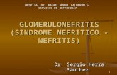 1 GLOMERULONEFRITIS (SINDROME NEFRITICO - NEFRITIS) Dr. Sergio Herra Sánchez HOSPITAL Dr. RAFAEL ÁNGEL CALDERÓN G. SERVICIO DE NEFROLOGÍA.