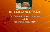 ICTERICIA NEONATAL Dr. Carlos E. Castro Herrera U.C.R. Neonatología. HNN.