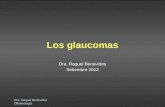 Dra. Raquel Benavides Oftalmología Los glaucomas Dra. Raquel Benavides Setiembre 2012.