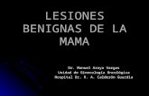 LESIONES BENIGNAS DE LA MAMA Dr. Manuel Araya Vargas Unidad de Ginecología Oncológica Hospital Dr. R. A. Calderón Guardia.