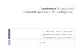 Anatomía Funcional -Consideraciones Neurológicas- Dr. Allan D. Mora Cascante Departamento de Anatomía Universidad de Costa Rica -2010-