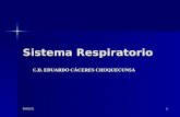 22/01/20141 Sistema Respiratorio C.D. EDUARDO CÁCERES CHOQUECUNSA.