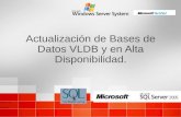 Actualización de Bases de Datos VLDB y en Alta Disponibilidad.