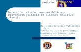 Detección del síndrome metabólico y prevención primaria de diabetes mellitus tipo 2 Tema 1.10 Dr. Jesús Zacarías Villarreal Pérez Jefe del Servicio de.