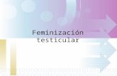 Feminización testicular. Caso clínico Paciente de 35 años, que consulta por aumento de tamaño rápido de masa inguinal izquierda congénita. Como antecedentes.